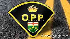 Windsor man arrested thanks to Good Samaritan in Elgin County - iHeartRadio.ca