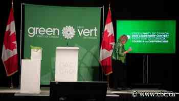 Green Party posted sensitive information about voters and members online