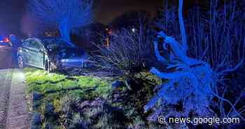 Automobilist knalt tegen boom langs kanaal in Bossuit - Het Laatste Nieuws