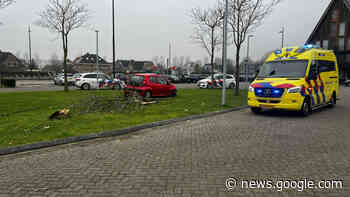 Joyridende tieners (12 en 13) rammen boom in plantsoen Vijfhuizen - NH Nieuws