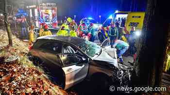 Automobilist zwaargewond bij botsing tegen boom - Omroep Brabant