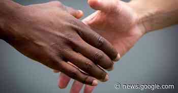 Gloednieuwe samenlevingsraad zoekt versterking | Boom | hln.be - Het Laatste Nieuws