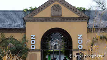 Trotz Sturmschäden, Corona und Vogelgrippe: Zoo Heidelberg mit ... - heidelberg24.de