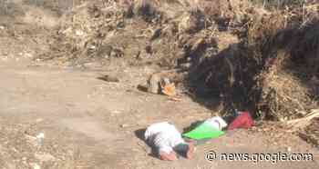 Cinco ejecutados ayer en la región Norte, dos son taxistas de Iguala ... - El Sur de Acapulco