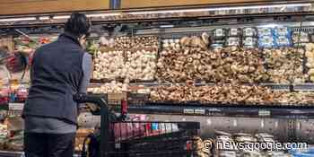 Mushrooms Sold In Quebec Have Been Recalled By Health Canada ... - MTL Blog