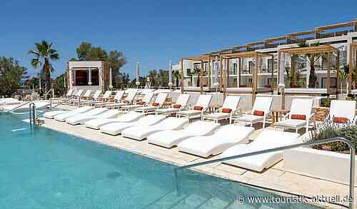 Palladium: Ein Viertel mehr Umsatz als 2019