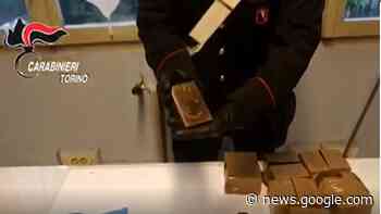 Blitz a casa del pusher a Torino Mirafiori Sud: sequestrati tre chili e mezzo di droga e 18mila euro - TorinoToday