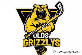 Olds Grizzlys player named community ambassador ... - Mountain View TODAY