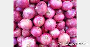 Philippines: Two universities eye vertical farms 'to solve onion scarcity' - Vertical Farm Daily