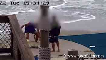 Charges Recommended Against Florida Man Caught on Camera Beating Shark With Hammer