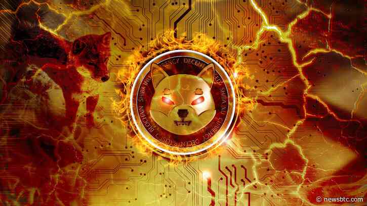 Shiba Inu (SHIB) Price Could Face Make Or Break Moment