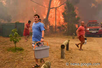 Controlan incendio en La Floresta y Las Vegas; Bomberos espera ... - Montevideo Portal