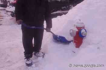 Clear snow from fire hydrants in Brampton to help firefighters keep ... - insauga.com