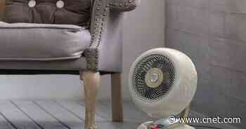 Best Electric Space Heater for 2023     - CNET