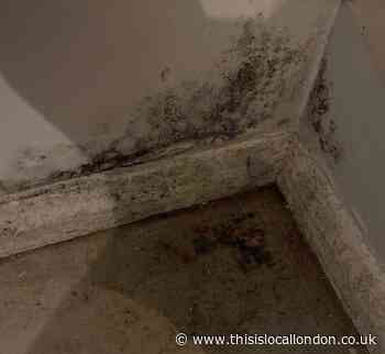 Harold Hill mum reveals 'mental toll' of mouldy home