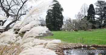 Hermannshof Weinheim vor Rekordjahr? - Weinheimer Nachrichten - Odenwälder Zeitung