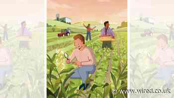 Crispr Wants to Feed the World