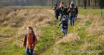 Langs bossen en velden: ontdek al wandelend de trage wegen in ... - Het Laatste Nieuws