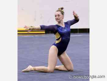 Saline Gymnastics Gets Past Coldwater - thesuntimesnews.com