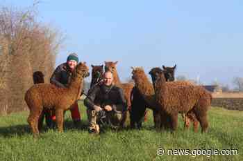 Luc Depoorter is de Krak van Zuienkerke: “We schenken de mensen ... - KW.be