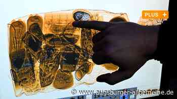 Ulmer Zoll findet Schmuggel-Zigaretten zwischen Gefrierfleisch