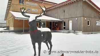 Skulptur für Althengstetter Ortsmitte: Hirsch oder Pferd – welches Symbol  steht mehr für  die Heimat?