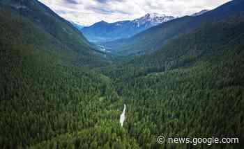 Large conservation announced near Revelstoke - The Nelson Daily