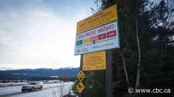 5 people were killed in B.C.'s backcountry this year. Experts say this deadly season started months ago