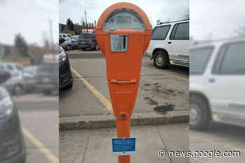 Meter money feeds need for kindness in Vernon - Vernon Morning Star - Vernon Morning Star