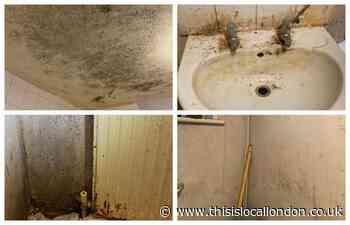 Tenant: Mouldy Redbridge Council flat 'making me ill'