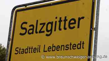 Beim Salzgitter-Check zählt Ihre Meinung