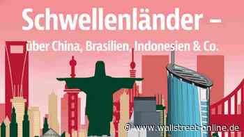 Abseits des Mainstreams: Jetzt im neuen Smart Investor: Mit diesen Aktien durch stürmische Crash-Märkte!