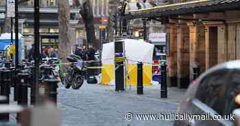 Man dies after being crushed by a telescopic urinal in central London