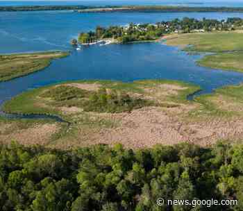Nature Conservancy of Canada conserves critical wetlands in Brighton - The Intelligencer