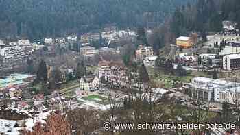 Stadtwald von Bad Liebenzell: Tannen werden zukünftig Probleme bekommen