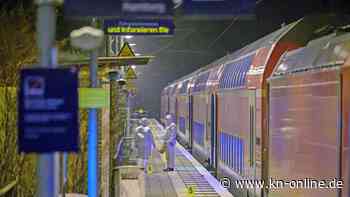 Kritik an Behörden nach Messerattacke in Brokstedt: Warum wurde Ibrahim A. nicht gestoppt?