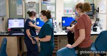Retain nurses before recruiting them from other provinces: association
