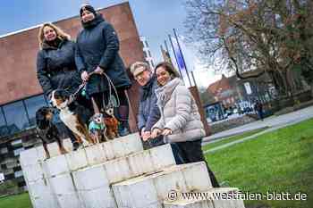 Die wollen nicht nur spielen