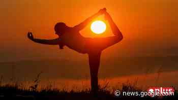 Wenn sich im Stadtwald von Marktredwitz Kamel und Schwan zeigen - Onetz.de