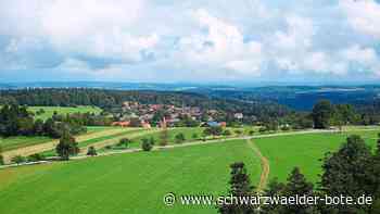 Bürgermeisterwahl in Schömberg: Bleibt der Stimmzettel leer, freut sich Leyn sehr