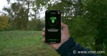 The iPhone 14's Prize Feature Kicked Off 2023's Biggest Phone Trend     - CNET