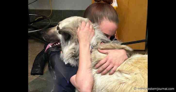 Animal Shelter Reunites Abandoned Dog with Homeless Owner and They Are Getting Help in Big Way