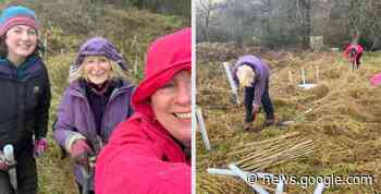 Incredible Edible Neilston volunteers plant 100 trees - Barrhead News