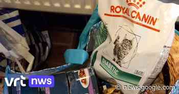 Dierenvoedselbank Poezewoef in Wilrijk bestolen: "Stelen van ... - VRT.be