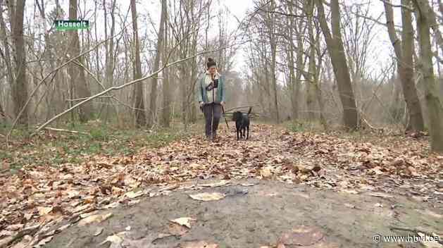 Steeds meer Limburgers verdienen brood door met honden te wandelen