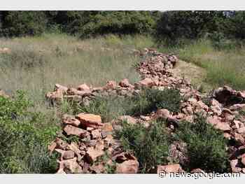 Family day on Melville Koppies - Southern Courier