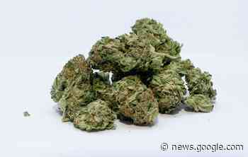 Recreational Marijuana Bill Clears First Committee - Fergus Now