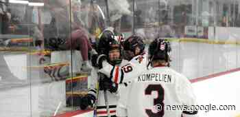Boys hockey: Cardinals find a groove in win over Fergus Falls - Alexandria Echo Press