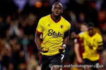Bilic thinks loan duo could link up in Watford's attack