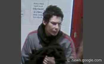 Kamloops Mounties seeking man who struck police cruiser - Kamloops This Week